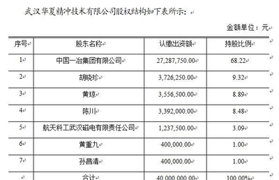 武漢精沖技術研發公司核心項目轉讓公告